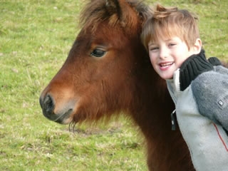 Poney club dans le Nord a Hornaing